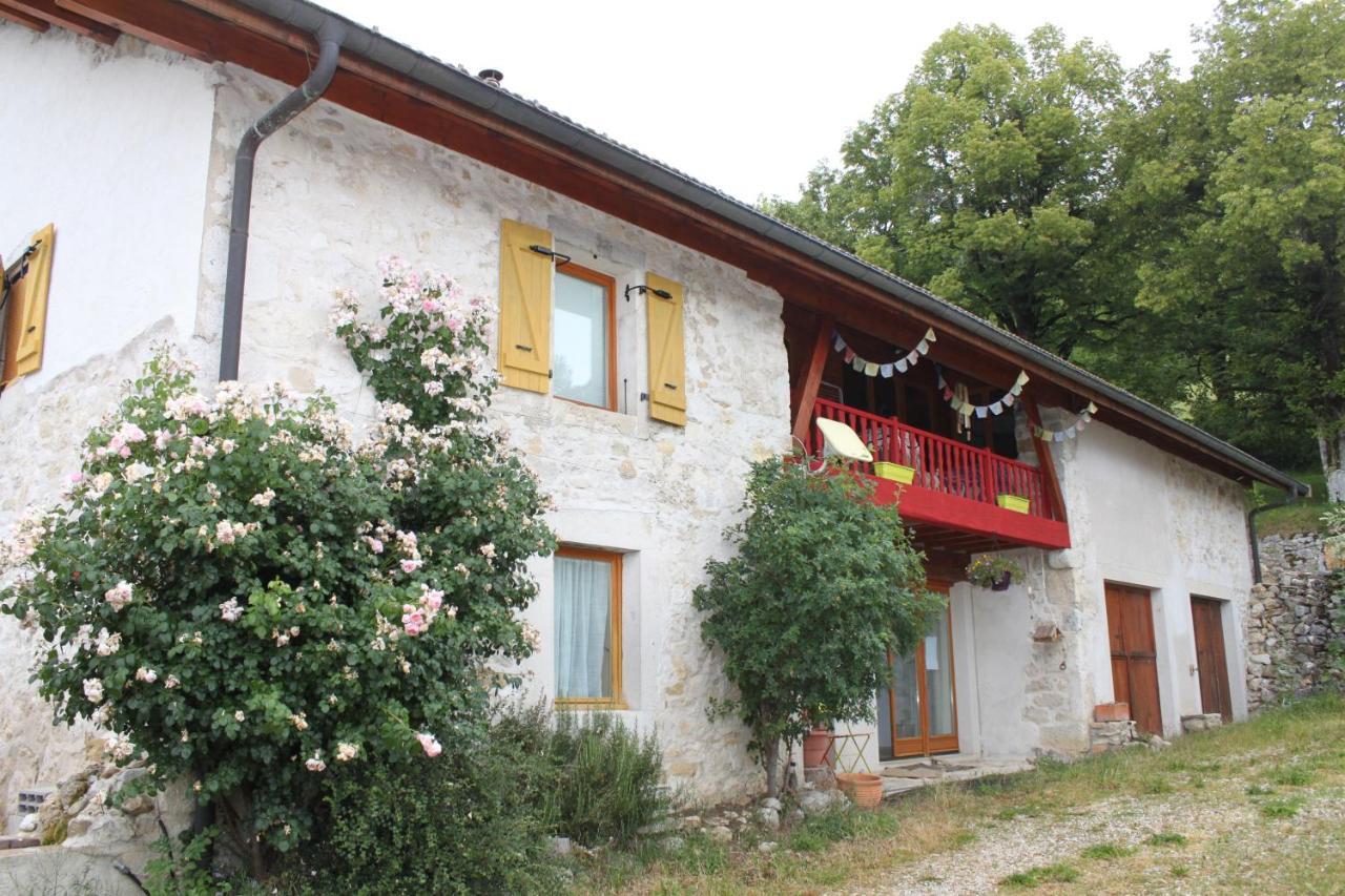 Bed and Breakfast Chez Louve Bleue Hotonnes Экстерьер фото